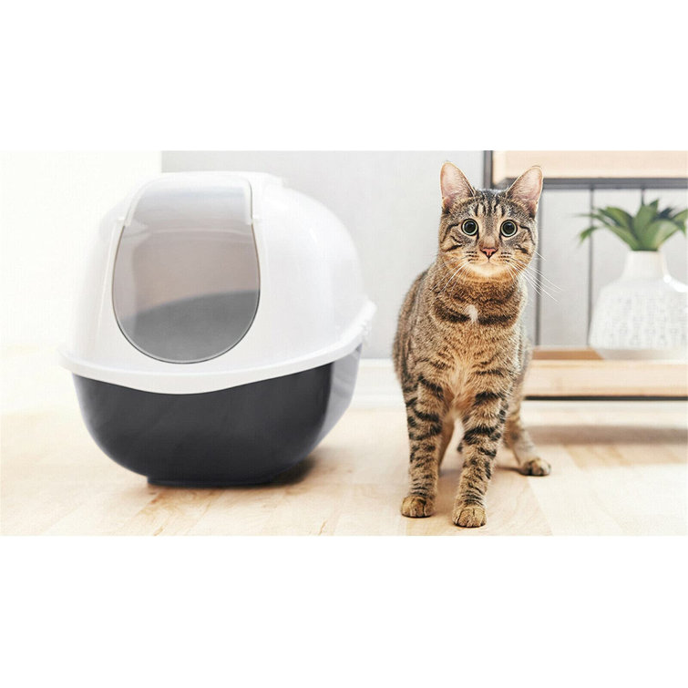 Deep cat cheap litter box